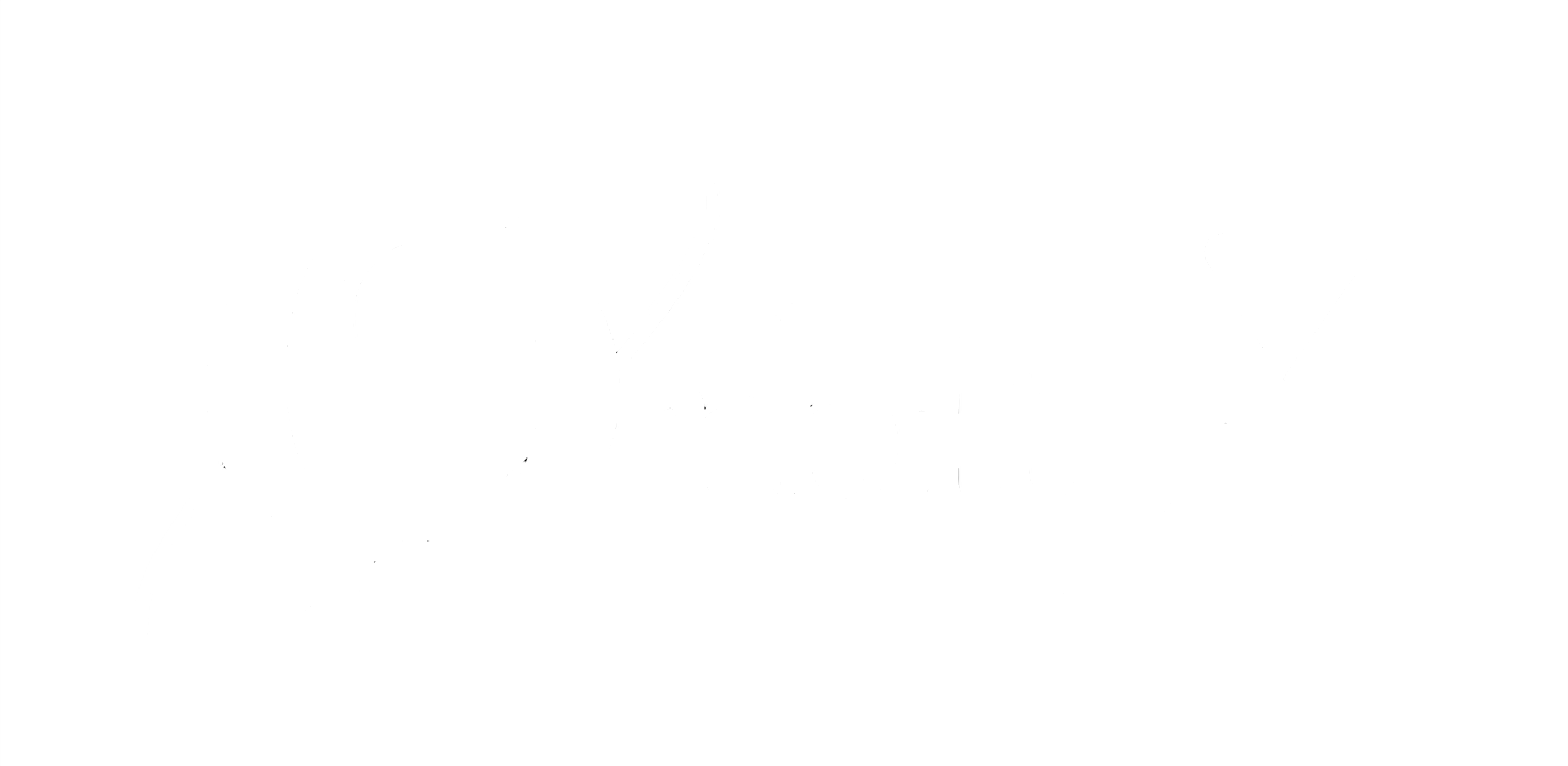 OrbitX Logo